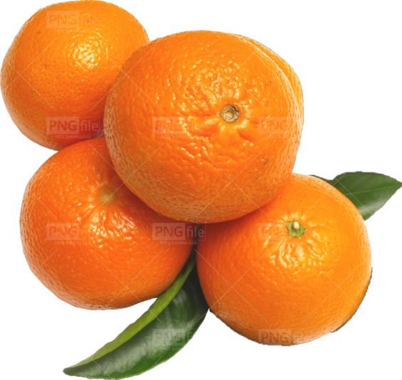 Orange (Nagpur Orange)